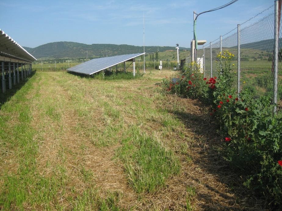 EDF Re Hellas Florina